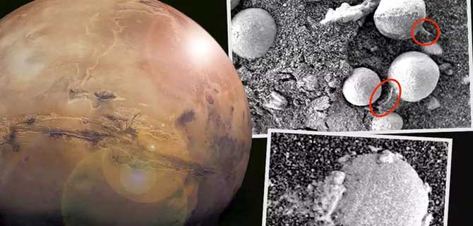 火星上发现“蘑菇”，专家：正在生长，或是火星生